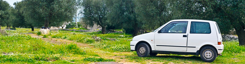 Fiat 500, Italian brand Take a tour with Mondo Italia School & Homestay on this Fiat 500